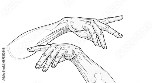 Detailed sketch of human hands in various positions.