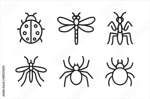 Simple line art illustration depicting a collection of common insects including a spider and ants