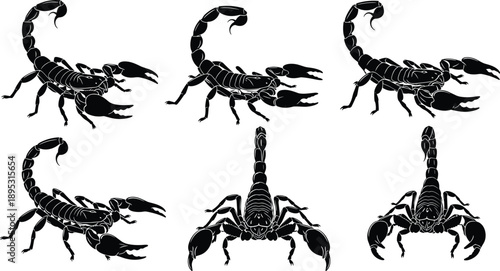 Scorpion silhouettes set showing multiple views of desert arachnid, dangerous wildlife illustration isolated on white background vector design collection