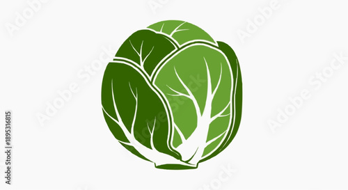 A fresh green lettuce icon with a white background, representing healthy eating and organic food options