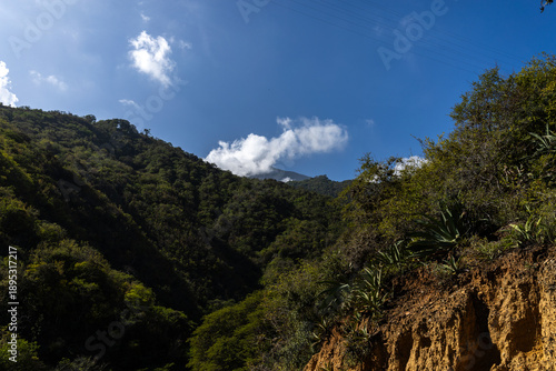 Wallpaper Mural Arid Ascent Coastal Entrance to El Avila National Park in Venezuela. Xerophytic Vegetation on Steep Clay Slopes Torontodigital.ca