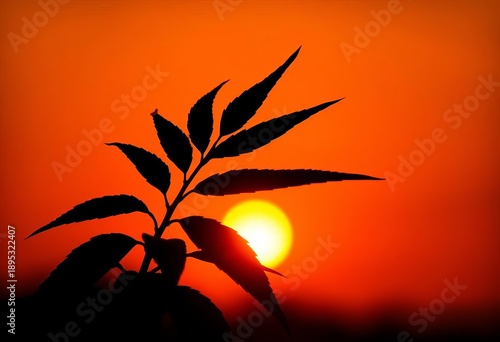 Silhouette of leafy plant against vibrant sunset glow, nature, bright