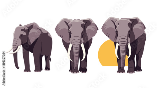 Three African elephants are depicted from various perspectives and lighting conditions to highlight their majestic tusks and wrinkled skin.