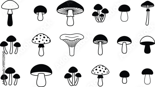 Black and white outline illustrations of various mushroom types fungi