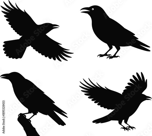 Crow Silhouettes in Flight, Standing, Perching, and Landing Poses, Black Bird Motion, Wildlife Theme, Vector Illustration, Nature Symbol, Ornithology Graphic Elements