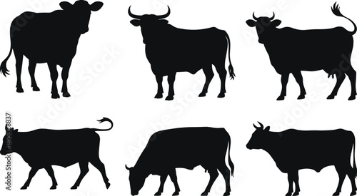Cow Silhouettes in Multiple Poses, Standing, Walking, Grazing Variations, Livestock Animal Design, Farm Theme, Vector Illustration, Agricultural Concept, Rural Graphic Elements