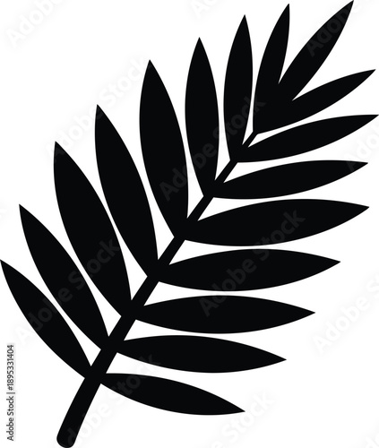 Black palm frond silhouette vector isolated on transparent background, tropical plant for summer decor