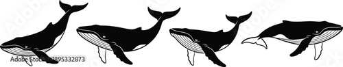 Collection of black and white whale illustrations in various poses whales silhouette