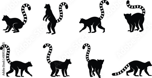 Eight black silhouettes of ring-tailed lemurs in various poses on white background animal wildlife