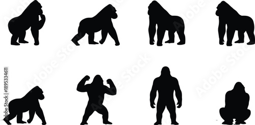 Silhouette Collection of Eight Gorillas Showing Different Poses on White Background primate black