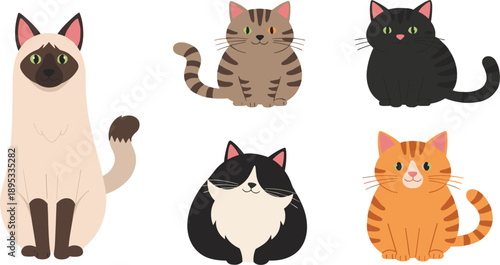 Cute sitting cartoon cats with different breeds sizes and expressions vector