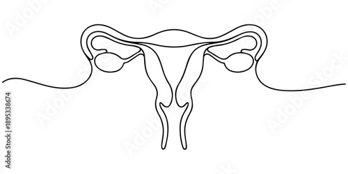 Continuous one line drawing of women's Uterus and Ovary. Single line art Female reproductive system. Vector illustration, One continuous line drawing on white isolated background. Minimalism linear