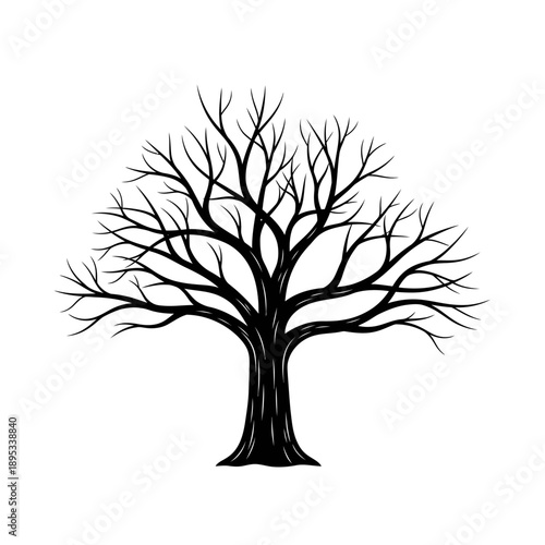 Silhouette of a bare deciduous tree with intricate branches against a white background, symbolizing nature and the changing seasons.