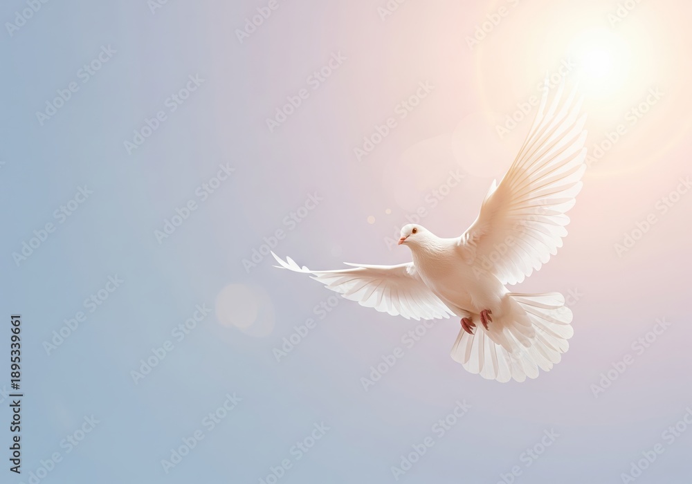 Fototapeta premium Symbol of peace and hope, a white dove soaring in the bright sunlight