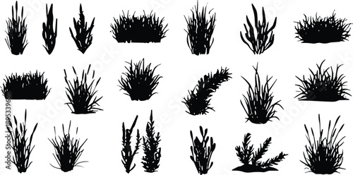 Grass and foliage silhouettes, black vector, nature elements, plant clumps, landscaping design, minimal style, wild vegetation, garden illustration, decorative shapes