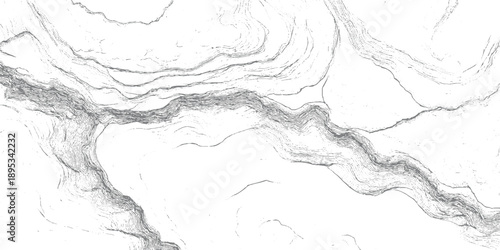 Abstract topographic contour lines forming a river valley landscape in grayscale topography curves