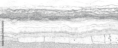 Detailed cross section of geological strata showing layers of rock and sediment with varied textures and patterns