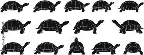 Turtle silhouette collection with multiple walking poses isolated black reptile animal vector illustration set
