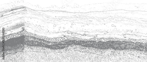 Detailed cross section of sedimentary rock layers with varying textures and pebble inclusions geology