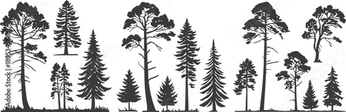 Tree silhouette collection, forest diversity, botanical illustration, black and white, vector trees, conifer, deciduous, foliage, nature, ecology