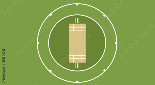 Cricket pitch illustration viewed from directly above on a green cricket field with white markings