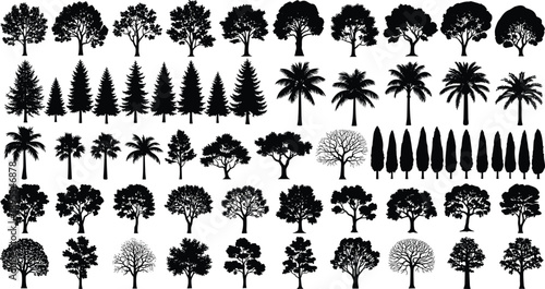 Tree silhouette collection, various forest trees, palm evergreen deciduous shapes, nature design elements, botanical icons, isolated set, vector, black, illustration