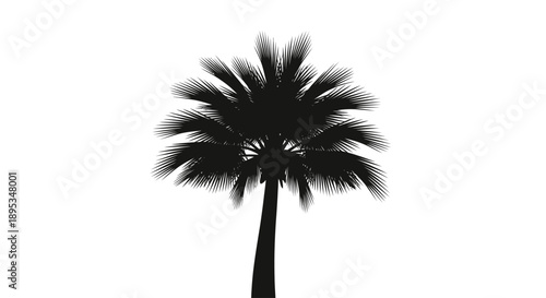 Black silhouette of a palm tree isolated on white background.