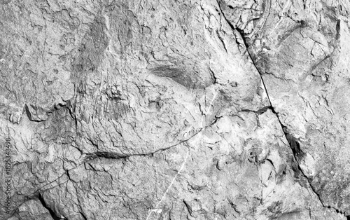 Mineral's texture from the shore of Vancouver, Canada - 002