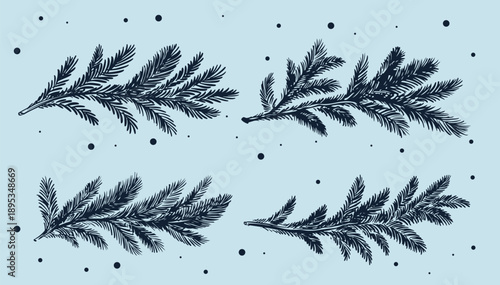 Fir branch on blue, hand drawn set.	
