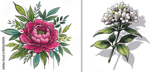 Vibrant vector illustration set featuring a lush pink peony bouquet with artistic paint drips alongside a delicate cluster of white blossoms on a leafy stem with soft drop shadows.