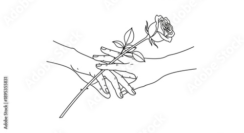 Set of black spiders isolated on a white background vector illustration