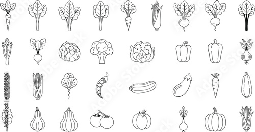 Variety of fresh vegetables and fruits for healthy eating and recipes