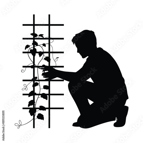 Silhouette of a gardener tending to climbing plants on a trellis