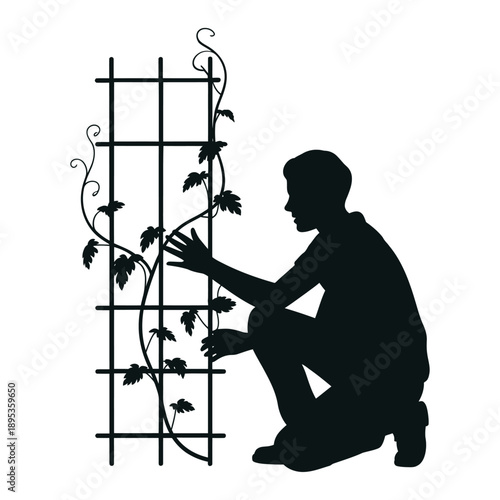 Silhouette of a gardener tending to climbing vines on a trellis