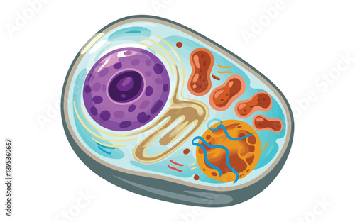A detailed internal view of an animal cell showcasing its complex biological structures and organelles