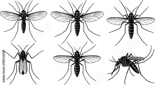 Large set of black and white silhouettes featuring various mosquito species in top and side view profiles for pest control entomology and public health designs