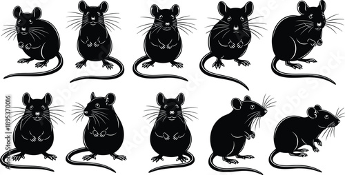 This title includes high-performing keywords like “mouse silhouettes,” “animal icons,” “wildlife design,” and “pattern recognition,” which are frequently searched by buyers.