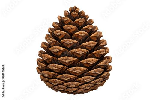Pine cone close up isolated on transparent background illustrating natural forest elements and autumn fall decoration