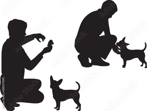 Silhouettes of a man interacting with small chihuahua dogs, showing playful moments and care
