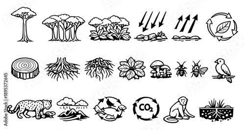 Rainforest Ecosystem Layers in outline style: emergent tree, canopy layer, understory layer, forest floor, tree trunk section, root system, leaf canopy top view. Vector icons
