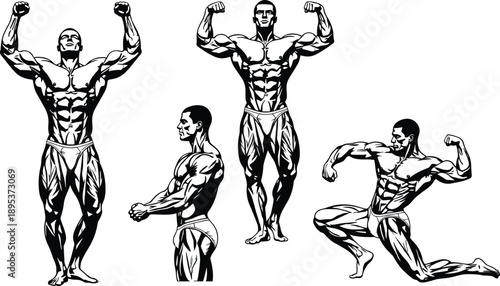 Muscular bodybuilder illustration set showing classic bodybuilding poses isolated on white background fitness strength black vector art