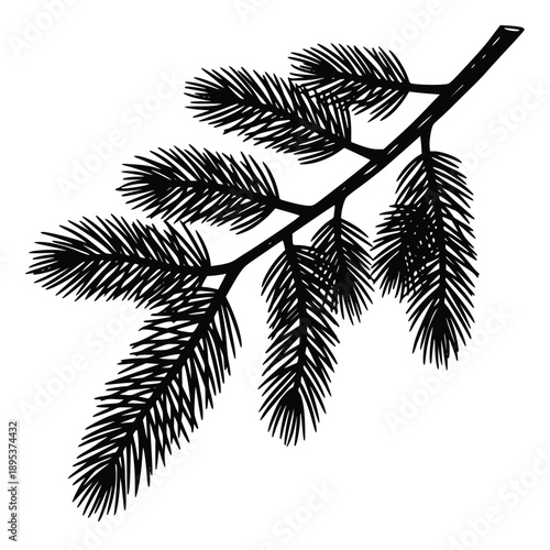 Beautiful black silhouette of a pine tree branch with delicate needles isolated on a crisp white background perfect for holiday designs and winter themes.