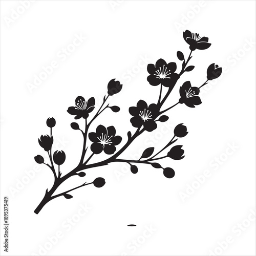 cherry blossom branch vector silhouette line art logo concept collection