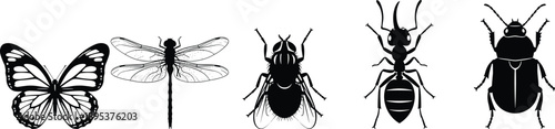 Black and white insect silhouettes set featuring butterfly, dragonfly, fly, ant and beetle, minimal vector illustration collection