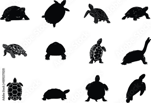 Collection of various turtle species in different poses and viewpoints black and white silhouette