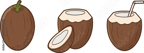 Coconut Collection with Whole, Halved and Fresh Coconut Drink with Straw Isolated on White Background