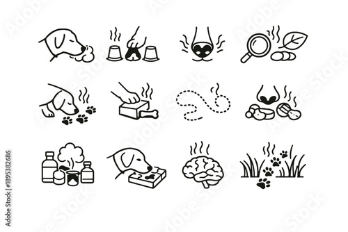 Focus discovery training activity vector smell instinct play scent icon pet nose