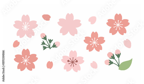 Cute Japanese Sakura Flower Vector Elements with Cherry Blossom Petals on White
