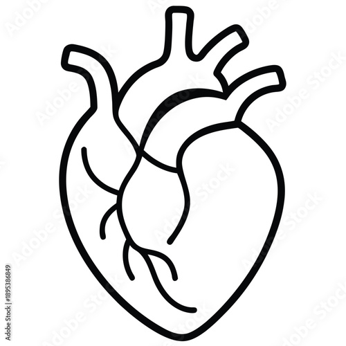 Linear Vector Of Human Heart Anatomy Illustration