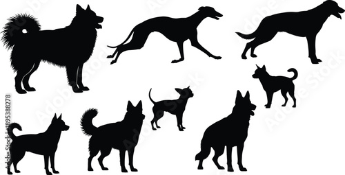 Dog breeds silhouette collection showing different walking standing running poses isolated black vector illustration set
